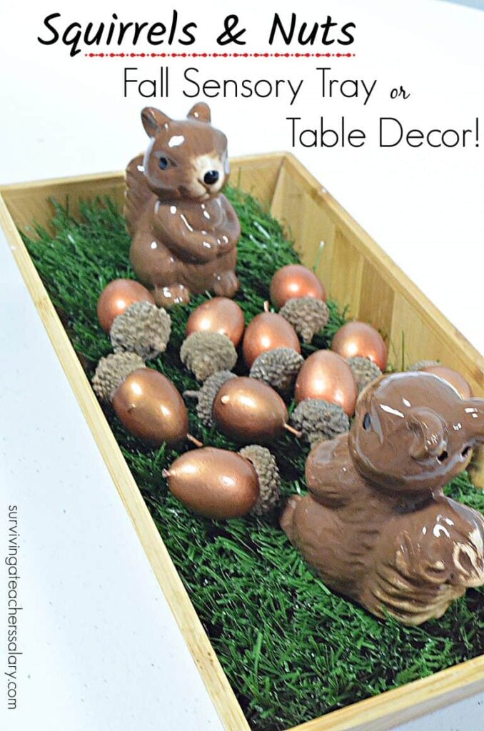 squirrel and acorn sensory tray